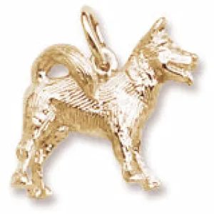 Akita Charm in Yellow Gold Plated