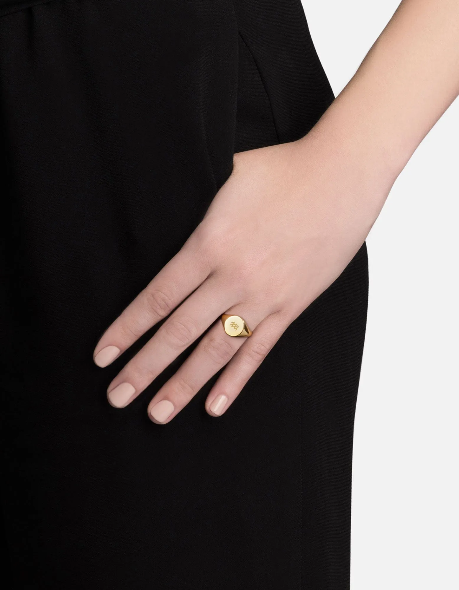 Aquarius Astro Signet Ring, 14k Gold