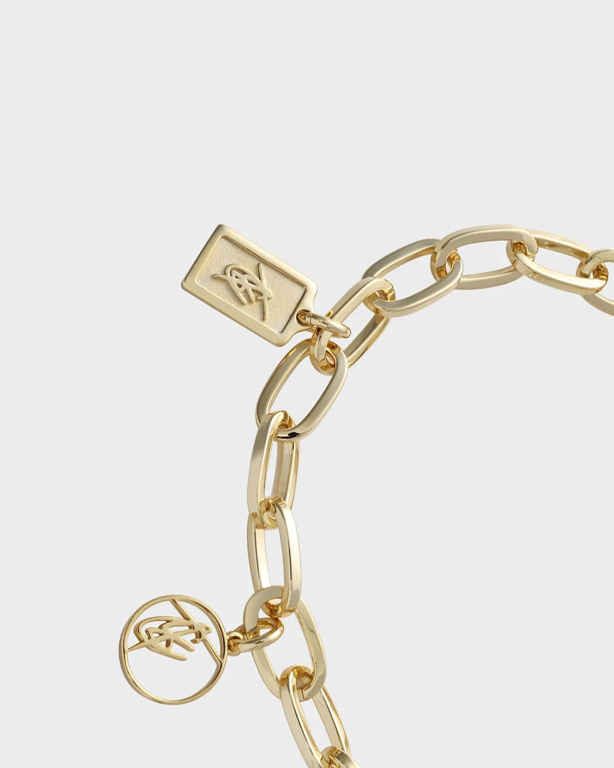 Charm Bracelet in Gold