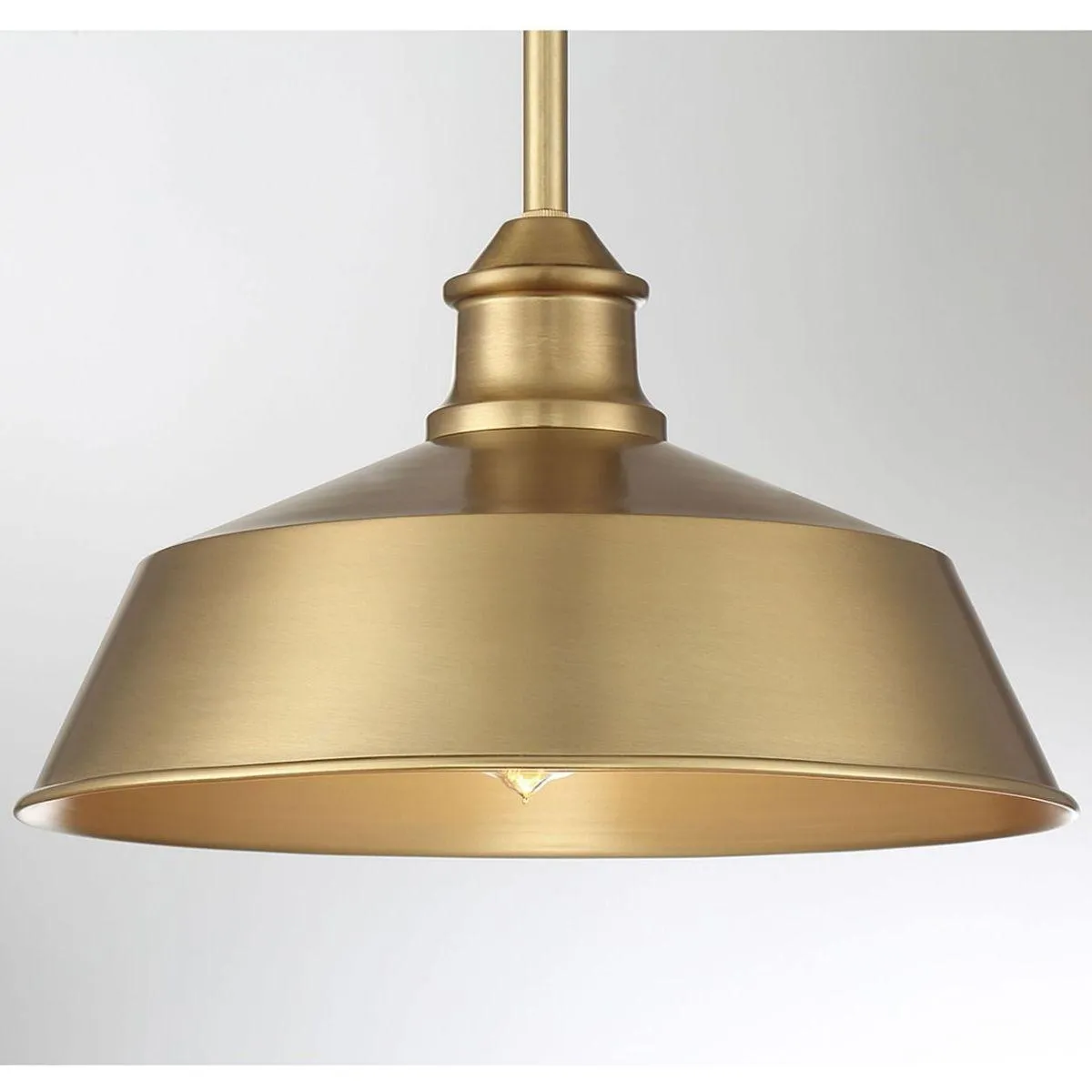 Meridian 14 in Pendant Light