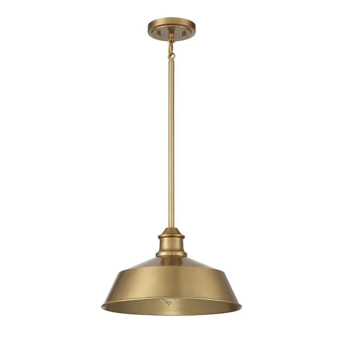 Meridian 14 in Pendant Light