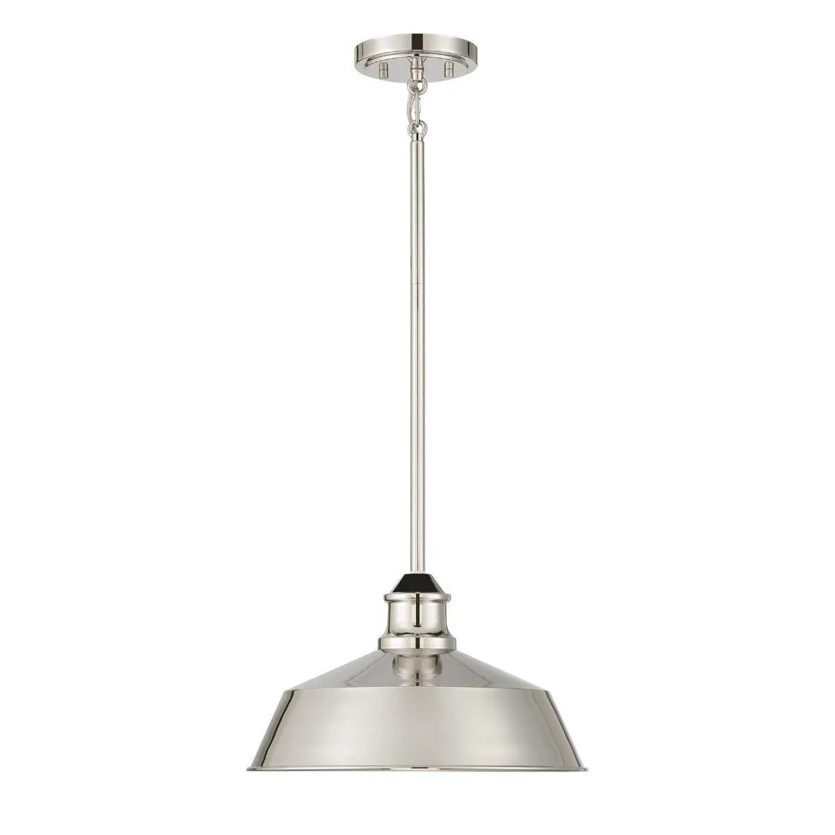 Meridian 14 in Pendant Light