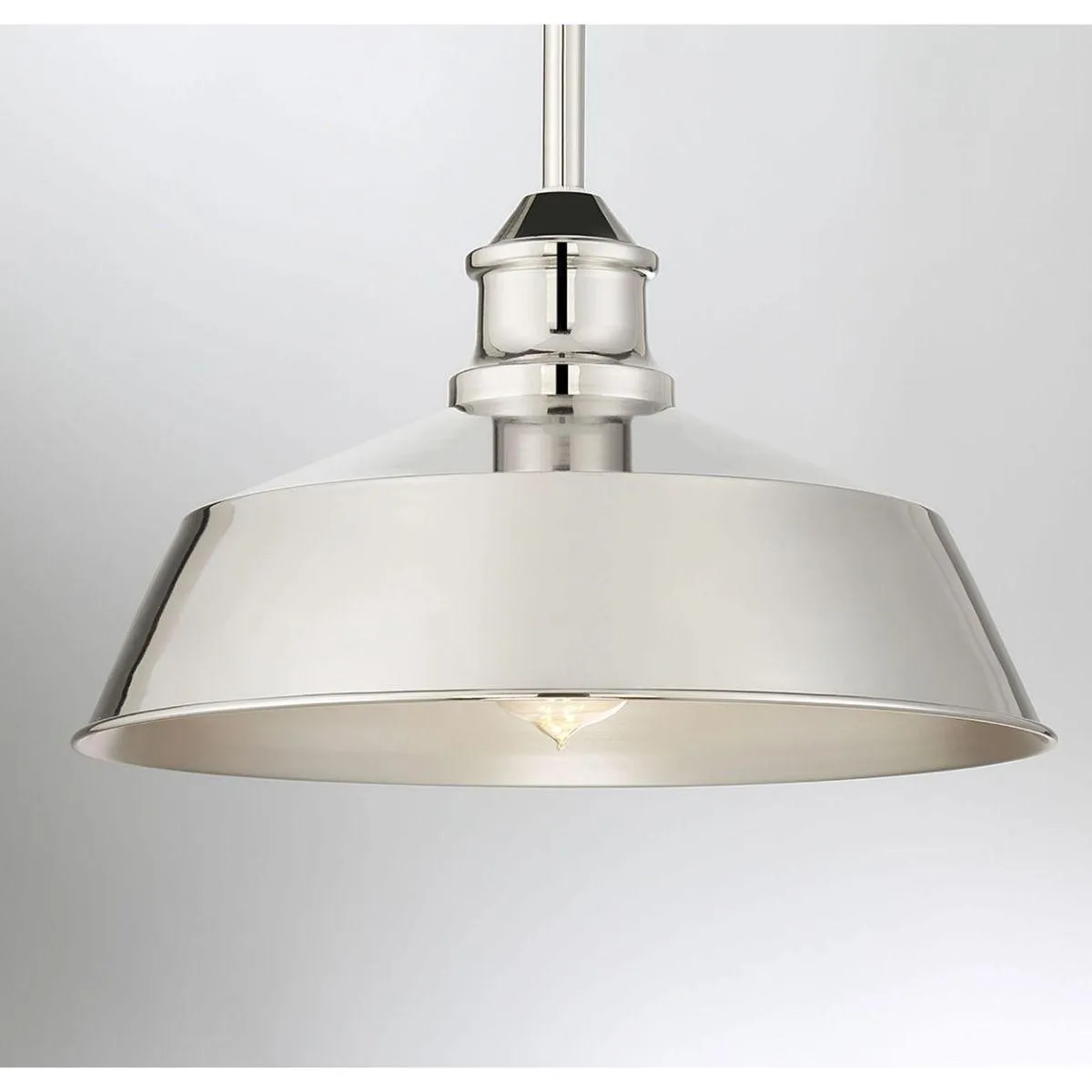 Meridian 14 in Pendant Light