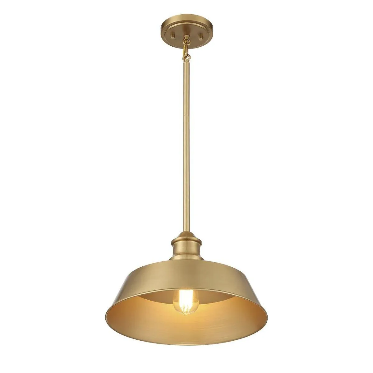 Meridian 14 in Pendant Light