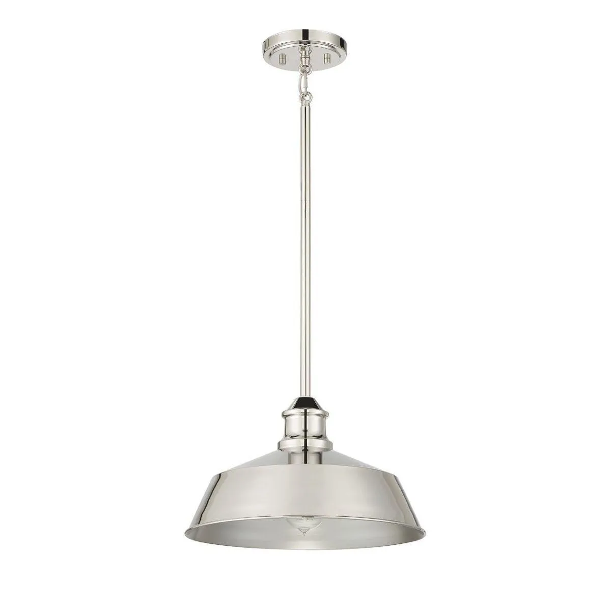 Meridian 14 in Pendant Light