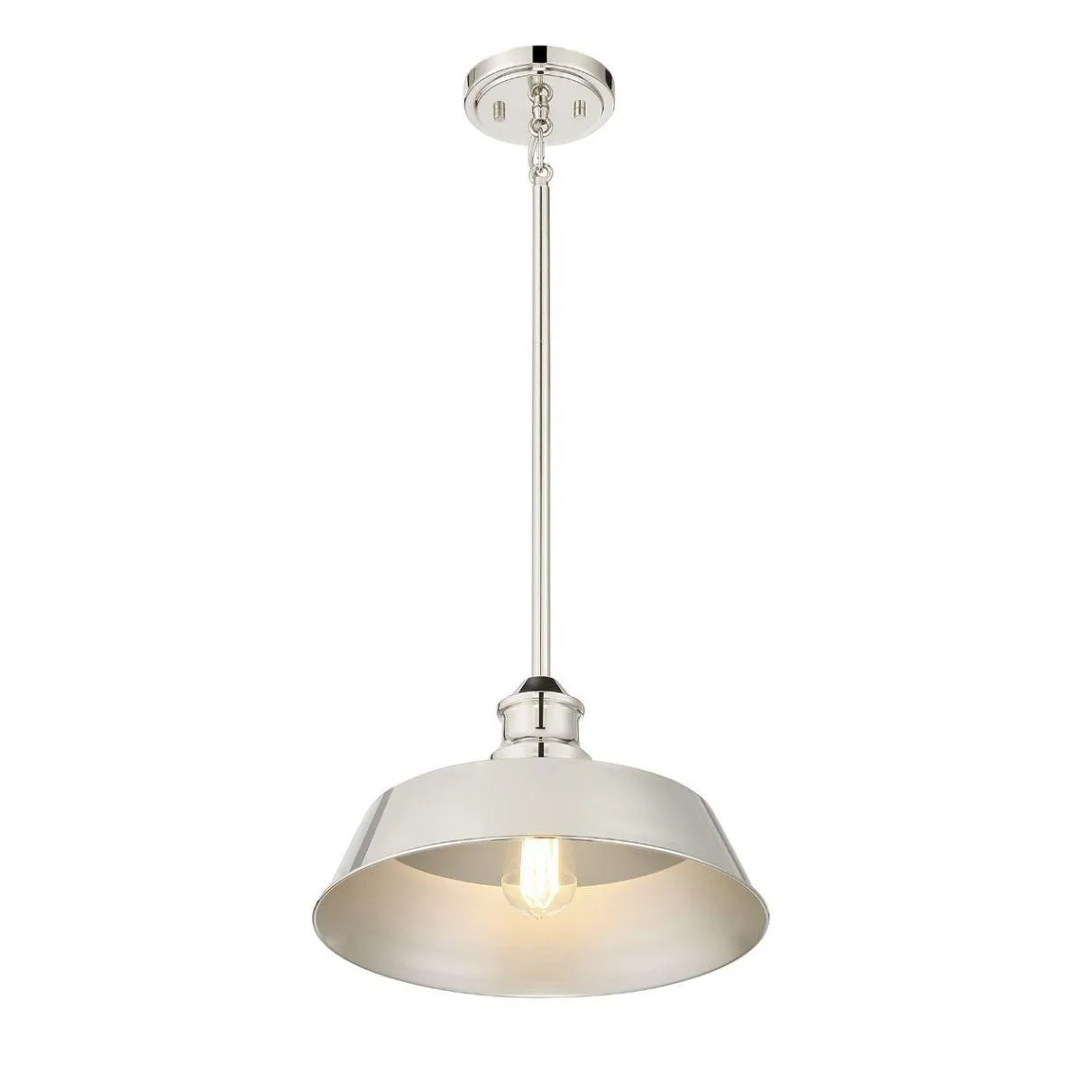 Meridian 14 in Pendant Light