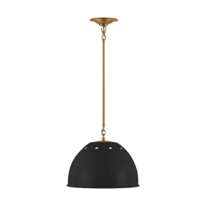 Robbie 15 in. Pendant Light Black Finish