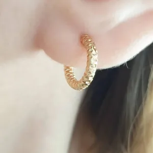 Solid Gold Hoop Earrings